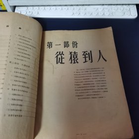 少见 1951年大10开《中国社会发展史画集》上册