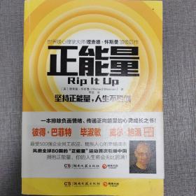 正能量：坚持正能量，人生不畏惧（[英]理查德·怀斯曼（Richard Wiseman）  著；李磊  译）