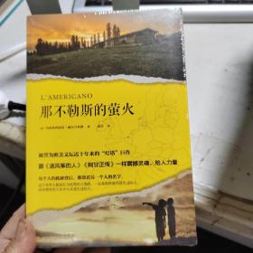 那不勒斯的萤火（被誉为欧美文坛近十年来的“灯塔”巨作，跟《追风筝的人》《阿甘正传》一样震撼灵魂、给人力量。）