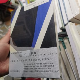 宁静海（“米兰·昆德拉继承人”巴尔提斯·阿蒂拉代表作，比肩诺奖得主耶利内克《钢琴教师》，斑驳衰朽的历史、禁色分明的爱欲、沉重堕落的肉身）