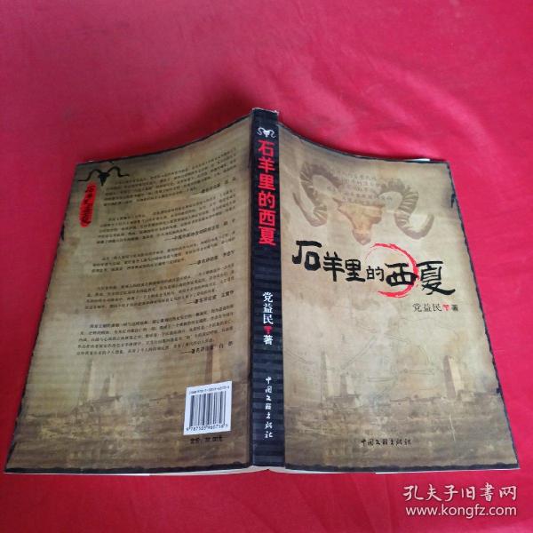 石羊里的西夏，