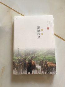 湿地精灵：麋鹿