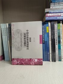 2019中国自由贸易试验区发展研究报告 建设新时代改革开放的新高地