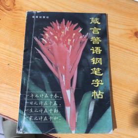 箴言警语钢笔字帖