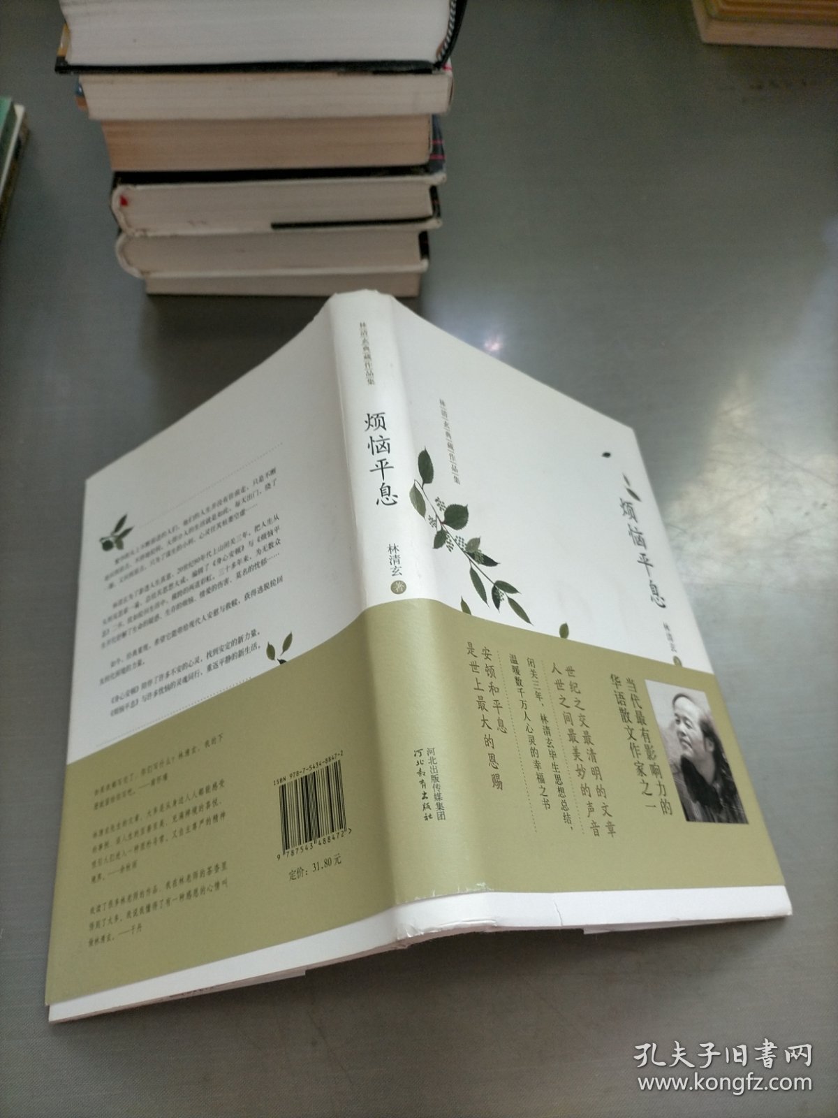 林清玄典藏作品集：烦恼平息