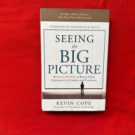 SEEING the BIG PICTURE