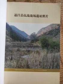 遂昌县抗战时期人口伤亡和财产损失纪实 中国抗战损失课题调研成果丛书