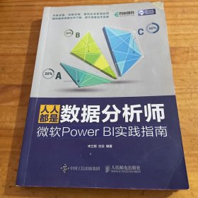 人人都是数据分析师：微软Power BI实践指南