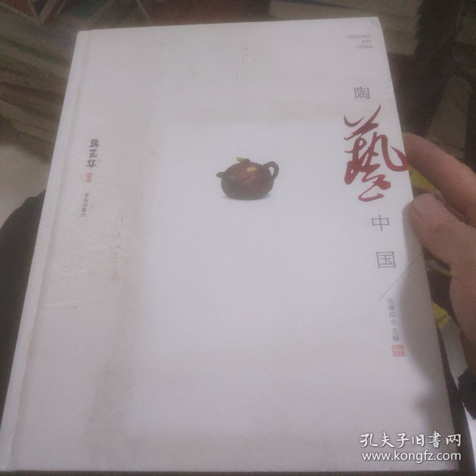 陶艺中国 蒋艺华卷