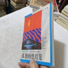 孤独的纸灯笼：青春美文系列·青春感悟美文