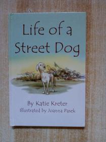 Life of asteet dog