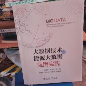 大数据技术及能源大数据应用实践
