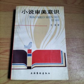 小说审美意识
