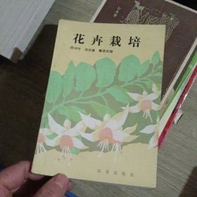 花卉盆栽 段诗吟