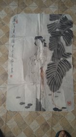 蕉荫觅诗园（软片