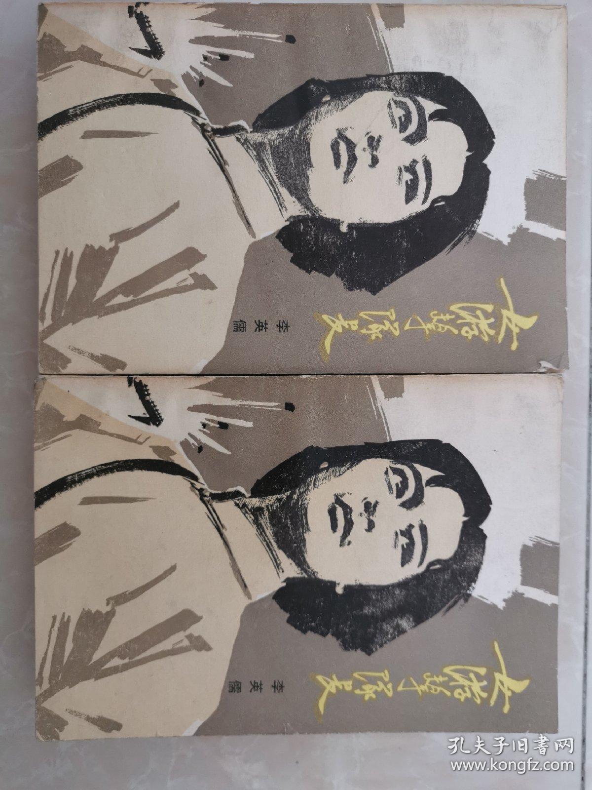 女游击队长 上下册