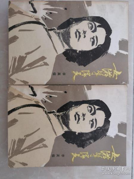 女游击队长 上下册