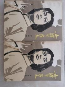 女游击队长 上下册