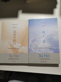 放下 爱，在爱中修行（两册合售）