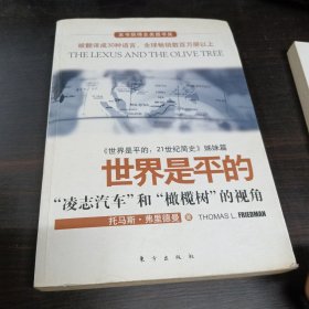 世界是平的：《世界是平的：21世纪简史》姊妹篇