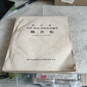 绥宁县经济社会科技发展规划报告集1985-----2000年油印本