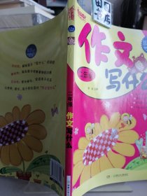 玩美起步.二年级作文写什么