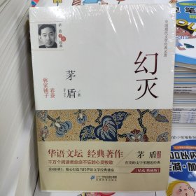 茅盾小说经典：幻灭