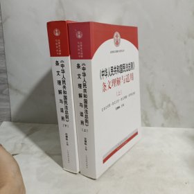 中华人民共和国民法总则 条文理解与适用（套装上下册）