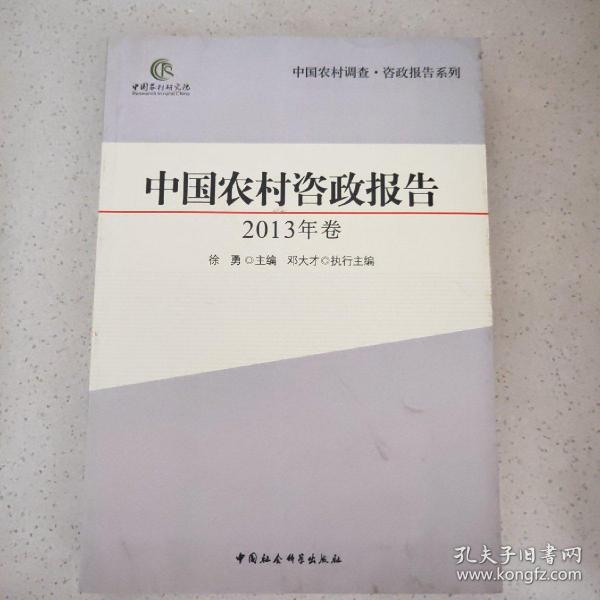 中国农村调查·咨政报告系列：中国农村咨政报告（2013年卷）