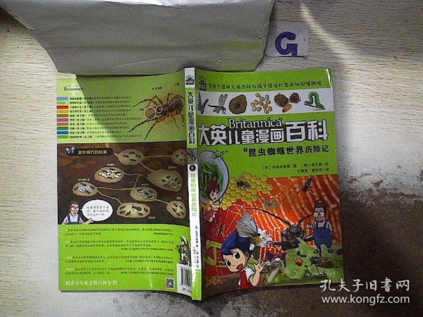 昆虫蜘蛛世界历险记
