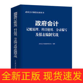 政府会计记账原理、科目使用、分录编写及报表编制实战