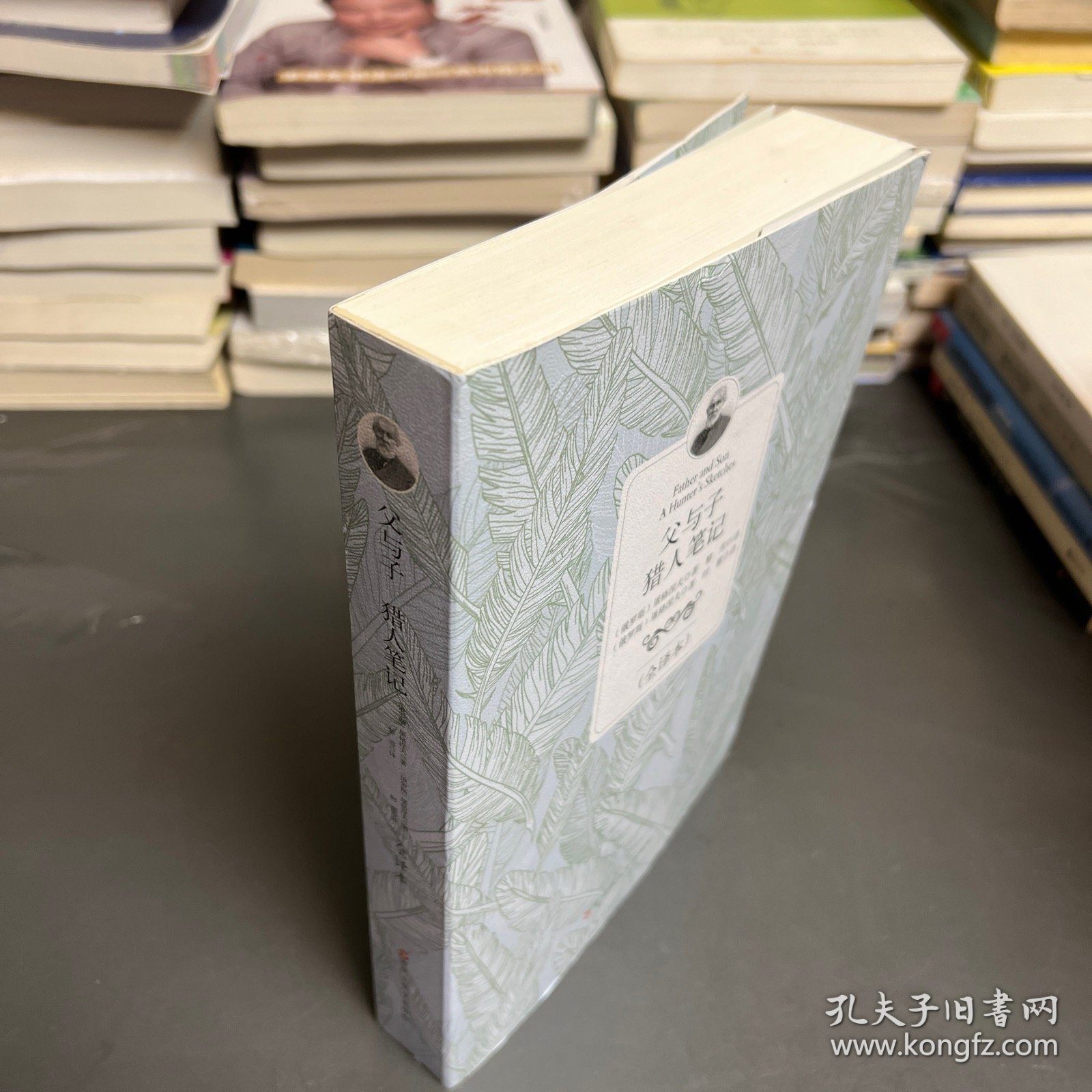 父与子 猎人笔记（全译本）