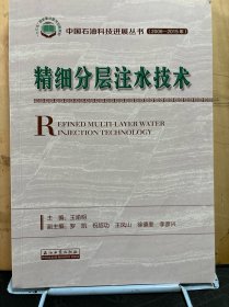 精细分层注水技术