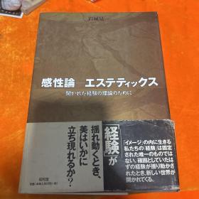 感性论-エステティックス
开かれた経験の理论のために(感性论美学 为了开放的经验理论)