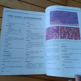 乳腺及女性生殖器官肿瘤病理学和遗传学 -内页有铅笔笔迹