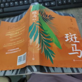 斑马（傅真2022年全新力作，从北京到曼谷，跨越三千二百公里的治愈之旅）