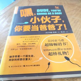 嘿，小伙子，你要当爸爸了！：你和你的她如何顺利度过接下来的9个月？