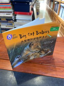 大猫英语分级阅读 大型猫科动物知多少
