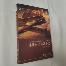 集团诉讼问题研究