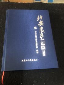 北安农垦年鉴（2020年）