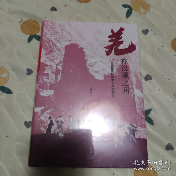 羌在汉藏之间：川西羌族的历史人类学研究（《华夏边缘》作者王明珂经典力作，川西羌族全解）