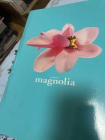 电影场刊 magnolia