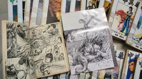 中华英雄精装合订本：英雄无敌篇 1 - 13全 + 浪迹天涯篇 1 - 9卷全 +天煞孤星篇 1 - 2 （二十四本合售）