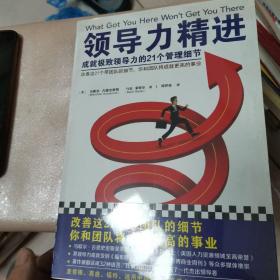 领导力精进：成就极致领导力的21个管理细节（改善这21个带团队的细节，你和团队将成就更高的事业！）