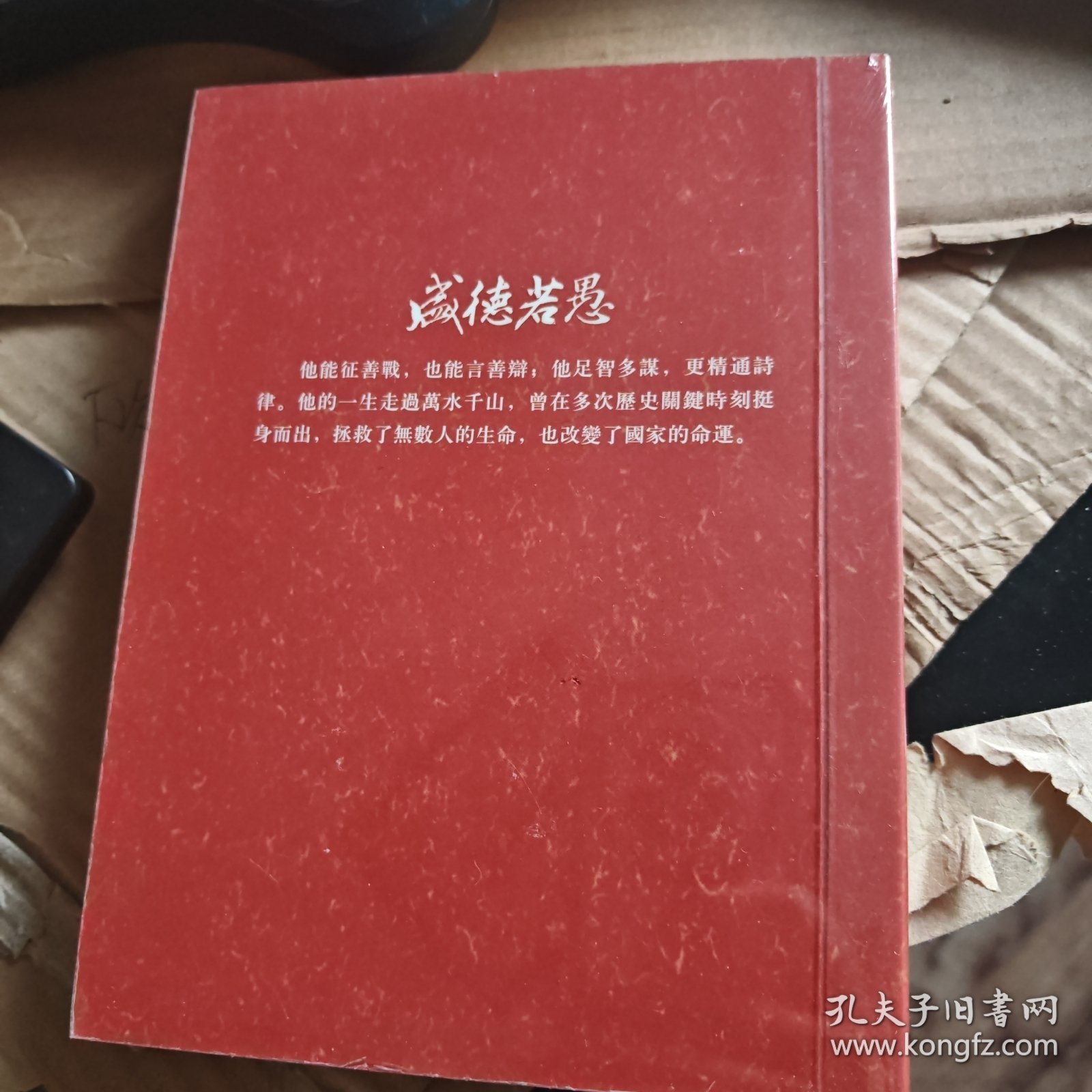 盛得若愚-叶剑英元帅非常之路