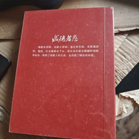 盛得若愚-叶剑英元帅非常之路