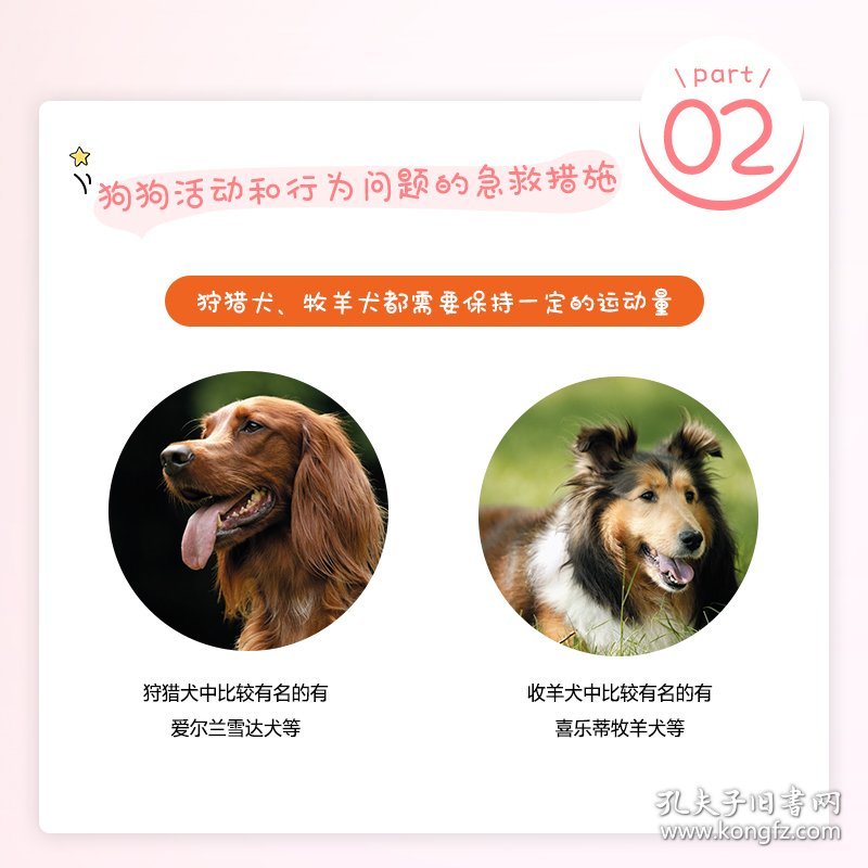 狗狗长寿的50个秘诀