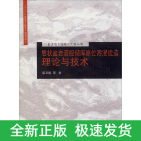 層狀鹽巖溶腔儲庫原位溶浸建造理論與技術(shù)