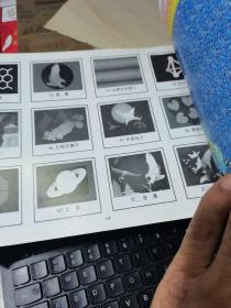 三维立体画3-D精品