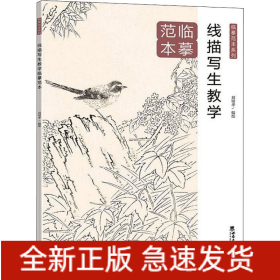 線描寫生教學(xué)臨摹范本